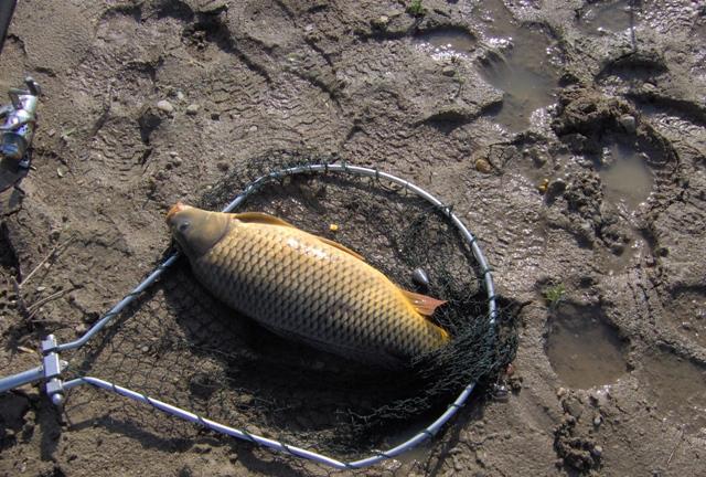 De pe ... balti ... 2 - im000060.JPG